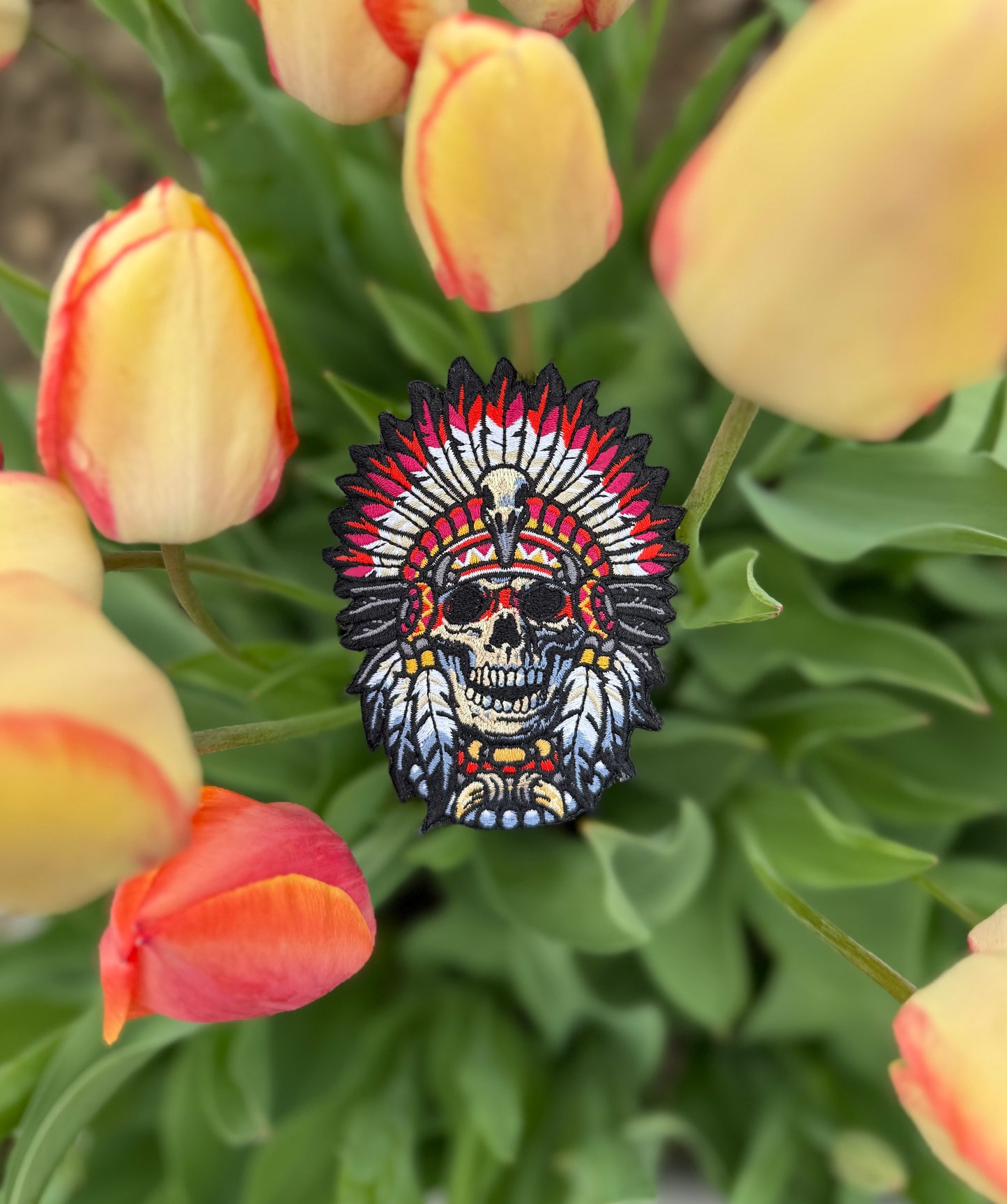 Skull v6 - Native American